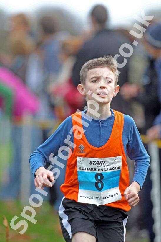 Blue 8, North East Harrier League.